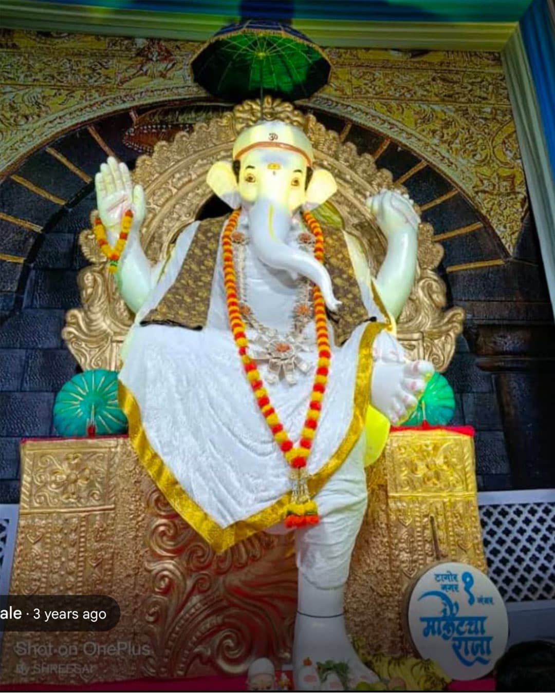 Public Ganesh Murti 49